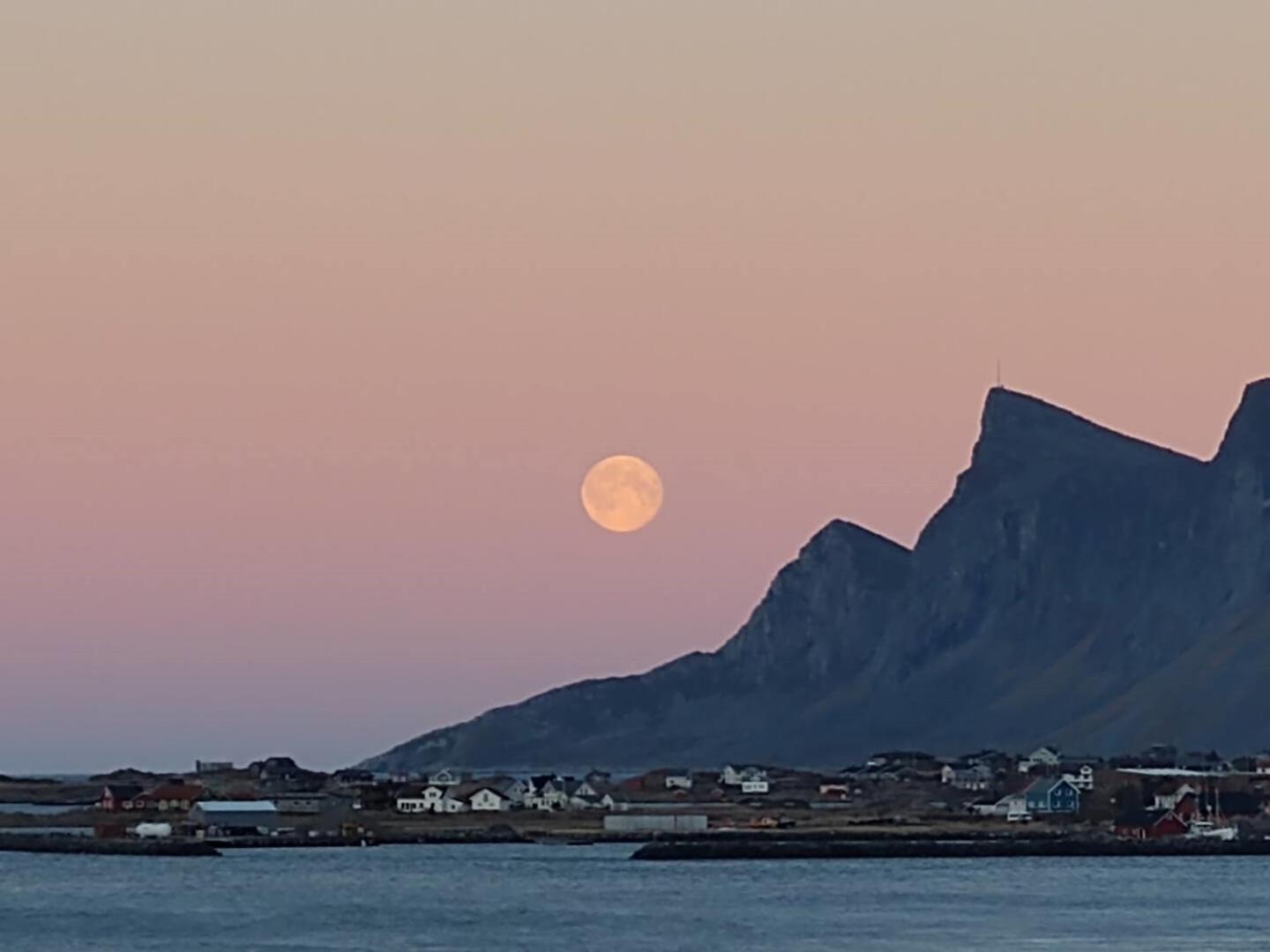Fredvang Farm House - Lofoten エクステリア 写真