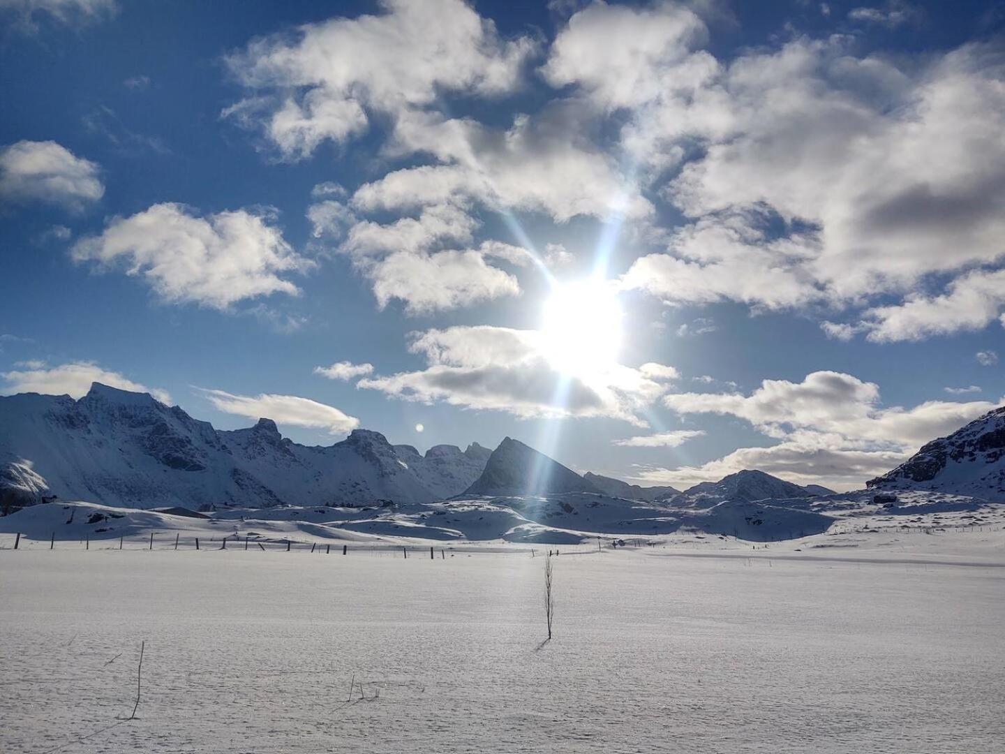 Fredvang Farm House - Lofoten エクステリア 写真