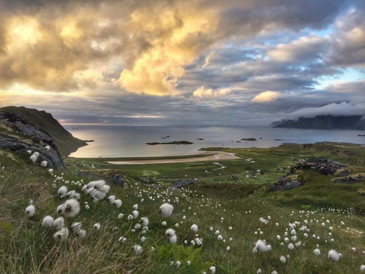 Fredvang Farm House - Lofoten エクステリア 写真