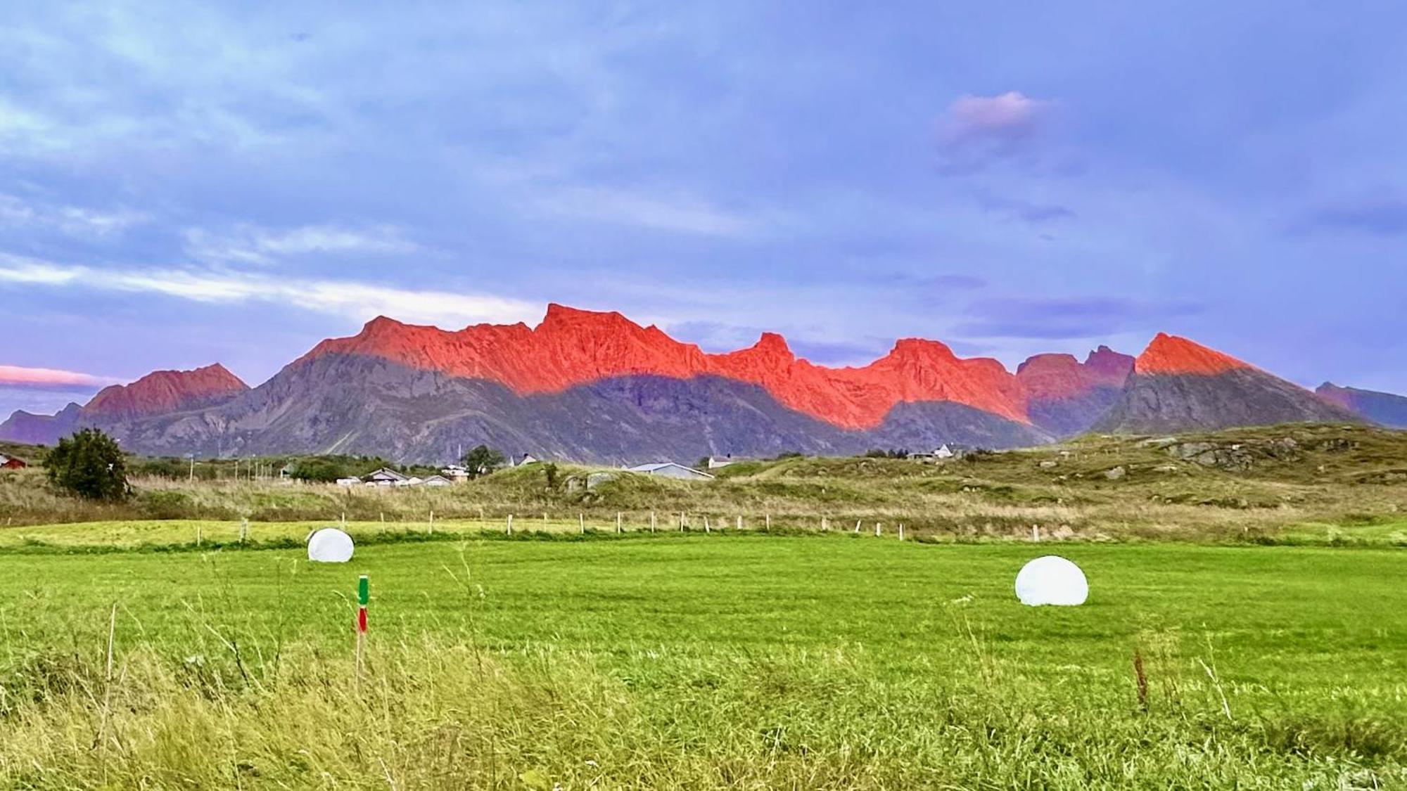 Fredvang Farm House - Lofoten エクステリア 写真